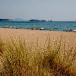 La platja de Pals estarà oberta la nit de Sant Joan Les dunes de la Platja de Pals en una imatge d'arxiu