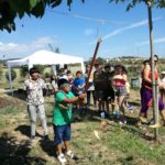 Tres anys dels horts comunitaris de les Arenes