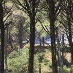 Incendi al Mas Tomasí de Pals