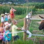 privat:-visites-guiades-i-de-descoberta-d’estiu