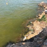 Color verd per fitoplàncton a les platges de Begur