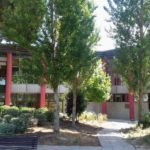 privat:-el-nou-govern-de-santa-cristina-acorda-deixar-d’usar-l’herbicida-glifosat