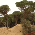 Begur no ha aprovat la modificació de Puig Montcal Zona de construcció de Montcal 2 a Aiguablava al municipi de Begur | Imatge de SOS Aiguafreda