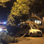 Cau un arbre sobre una furgoneta a Palamós
