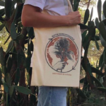 Estudiants d’ESO de Sant Feliu inicien una campanya de plantar arbres