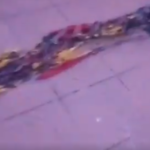 Tornen a despenjar l’estelada de la rotonda de Palamós