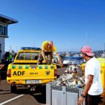 La campanya “Mou-te pel mar” recull dues tones d’escombraries en un cap de setmana