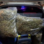 privat:-la-policia-local-dete-un-home-per-un-presumpte-delicte-contra-la-salut-publica