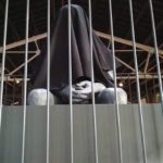 El Terracotta Museu de la Bisbal també protesta per la sentència del Suprem Terracotta protesta