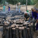 Us proposem un cap de setmana intens amb 8 plans per a fer al Baix Empordà