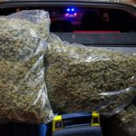 Detingut a Palafrugell amb 7 quilograms de marihuana