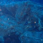 Les xarxes de pesca abandonades: un perill sota l’aigua Xarxes de pesca a la zona de Llafranc | Imatge de FECAS