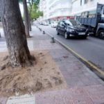 Talen els arbres del carrer Doctor Fleming de Platja d’Aro per obres
