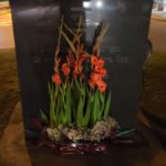 Palafrugell honora els seus difunts més il·lustres la diada de Tots Sants privat:-palafrugell-honora-els-seus-difunts-mes-illustres-la-diada-de-tots-sants