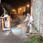 privat:-es-retira-un-niu-de-vespa-asiatica-al-carrer-nuria