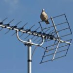 El desplegament de les xarxes 5G obligarà a resintonitzar alguns canals de TDT al Baix Empordà