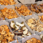 El fred no serà una excusa per quedar-se a casa aquest cap de setmana amb aquests 7 plans que us proposem!