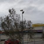 privat:-nova-illuminacio-a-l’espai-d’esbarjo-per-a-gossos-de-palafrugell