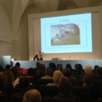 Augmenten les matriculacions a l’Escola Oficial d’Idiomes de Sant Feliu escola idiomes sant feliu