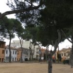 Talen les branques de quatre pins de la plaça del Camp d’en Prats a Palafrugell per risc de caiguda Arbres Camp d'en Prats | Imatge de l'Ajuntament de Palafrugell