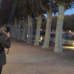 Pla per evitar que els estornells pernoctin a la Bisbal d’Empordà