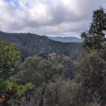 Nova edició de l’Aplec de Santa Llúcia de l’Arboç Santa Llúcia