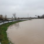 VÍDEO: Impressionants imatges del riu Ter al Baix Empordà, desbordant en alguns punts