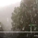 VÍDEOS: La neu arriba al Baix Empordà amb talls viaris i incidències pel temporal neu i temporal