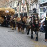 Una nova edició de la tradicional festa de Sant Antoni Abat arriba al passeig del Mar de Palamós