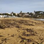 Un centenar de voluntaris netegen les platges de Palamós