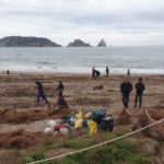 Gairebé un miler de persones participen en la neteja de la platja de l’Estartit
