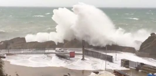 Port de Palamós - Temporal Gloria | Imatge d'Anti-Radar Catalunya