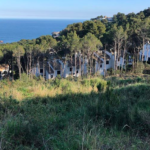 Ja s’ha talat l’últim retall verd d’Aigua Xelida, segons SOS Palafrugell aigua xelida