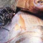 S’inaugura la mostra del II Concurs de Fotografia del Club Nàutic Aiguablava privat:-no-et-perdis-l’exposicio-del-ii-concurs-de-fotografia-del-club-nautic-aiguablava!