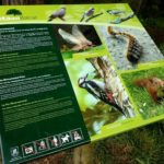 La Ruta del Balcar compta amb nous plafons informatius privat:-nous-plafons-a-la-ruta-del-balcar