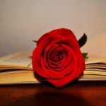 privat:-no-et-perdis-la-programacio-especial-de-radio-begur-per-celebrar-la-diada-de-sant-jordi!