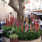 La desena edició de Begur en Flor estarà dedicada a les flors silvestres Imatges de Begur en Flor d'arxiu