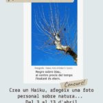 homeradiocappdwwwwp-contentuploads202004echohaiku_Cartell01.jpg