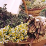 La fira de les Herbes de Peratallada celebra el seu 20è aniversari fira de les herbes