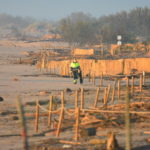 S’inicia la neteja de les platges afectades pel temporal a Torroella de Montgrí i l’Estartit