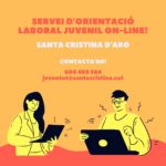 privat:-orientacio-laboral-juvenil-on-line