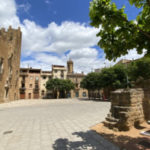 privat:-l’ajuntament-de-la-bisbal-deriva-130.000-euros-del-pressupost-municipal-per-atenuar-la-crisi-de-la-covid-19