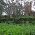 privat:-els-jardins-del-monestir-reobren-les-seves-portes-a-partir-del-22-de-maig