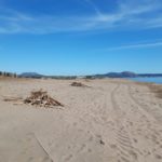 Temps assolellat i Tramuntana que guanya força a la tarda