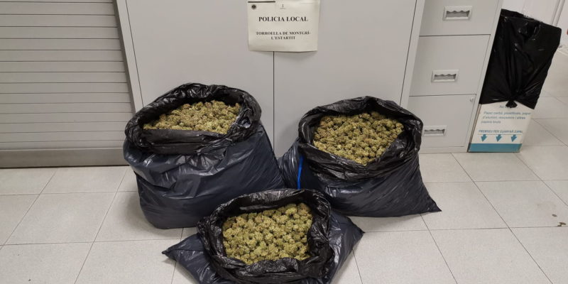 Troben 11 quilos de marihuana en un control de la policia local de Torroella | Imatge del consistori
