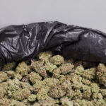 Troben-11-quilos-de-marihuana-en-un-control-de-la-policia-local-de-Torroella-Imatge-del-consistori-00003-1068×580