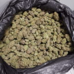 Troben-11-quilos-de-marihuana-en-un-control-de-la-policia-local-de-Torroella-Imatge-del-consistori-00003-560×747