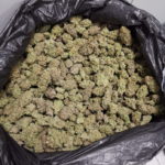 Troben-11-quilos-de-marihuana-en-un-control-de-la-policia-local-de-Torroella-Imatge-del-consistori-00003-696×928