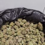 Troben-11-quilos-de-marihuana-en-un-control-de-la-policia-local-de-Torroella-Imatge-del-consistori-00003-741×486