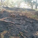 Els bombers treballen en un incendi forestal a Palamós